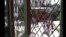 Arresto este domingo de Berta Soler y Ángel Moya, frente a la sede de las Damas de Blanco, en Lawton, La Habana. (Captura de video/Facebook)