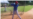 Firma Yasmani Tomás con los Diamondbacks de Arizona