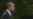 Obama lamenta trágico final de Payá