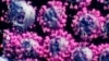 Un 3D scan de SARS-COV-2. Nanographics.at/Handout via REUTERS