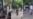 Cuestionan sistema judicial cubano tras fallo sobre trifulca entre pandillas en Finca de los Monos