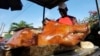 La carne de cerdo es el componente principal de las cenas tradicionales en Cuba. REUTERS/Desmond Boylan