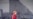 Merkel apela a unidad en aniversario de la caída del comunismo