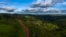 Area de deforestación en Amazonas, estado Pará, el 13 de marzo de 2019. (Foto de Mauro Pimentel/AFP).