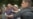 Sigue confinado periodista y nieto de fundador del Partido Comunista