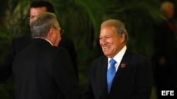VII Cumbre de Jefes de Estado de la Asociación de Estados del Caribe