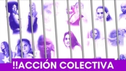 Noticias de Cuba en 5 minutos | 01/23/25 Cartel de la campaña por la liberación de las presas políticas en Cuba. (Captura de pantalla/OGAT)