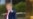 Crece la expectativa por la ficha policial de Trump (VIDEO); ya se presentó en la cárcel de Fulton y pagó fianza