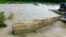 Crecida del Rio Sagua por las lluvias ocasionadas por Melissa